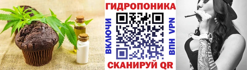 даркнет сайт  Новокузнецк  Canna-Cookies марихуана 