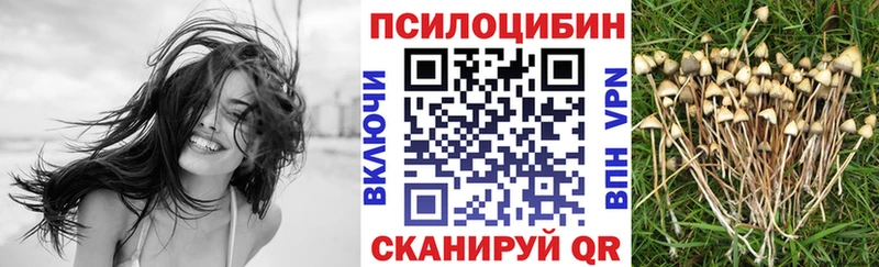 Псилоцибиновые грибы прущие грибы  Новокузнецк 